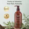 Mugwort Extract Shampoo
